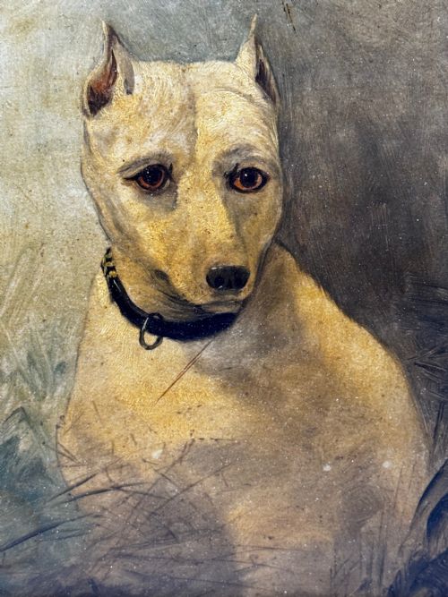 OIL PAINTING SAD WHITE ENGLISH TERRIER DOG FOLLOWER OF JOHN EMMS - ADDITIONAL PHOTO 12
