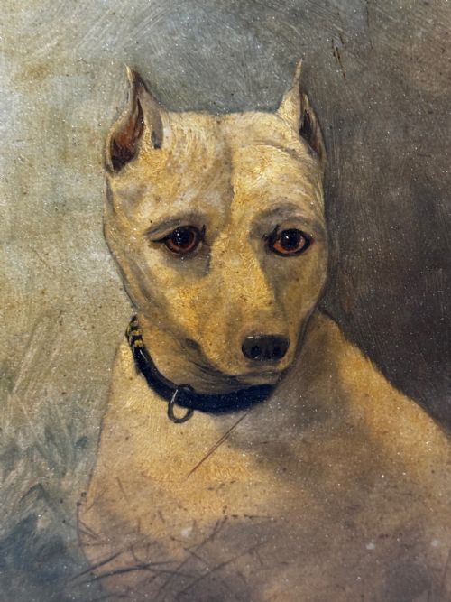 OIL PAINTING SAD WHITE ENGLISH TERRIER DOG FOLLOWER OF JOHN EMMS - ADDITIONAL PHOTO 14
