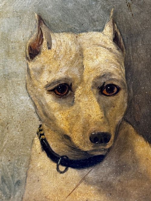 OIL PAINTING SAD WHITE ENGLISH TERRIER DOG FOLLOWER OF JOHN EMMS - ADDITIONAL PHOTO 15