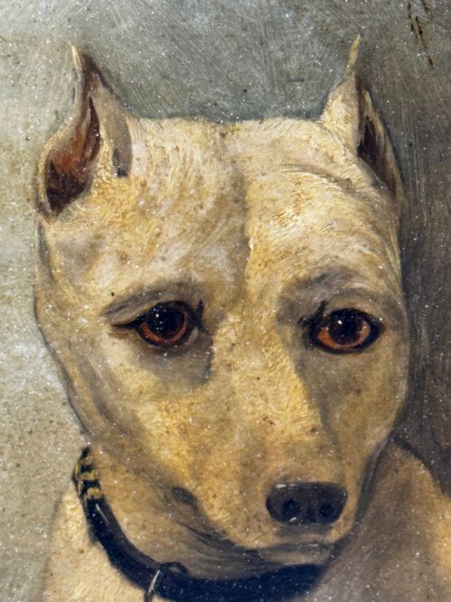OIL PAINTING SAD WHITE ENGLISH TERRIER DOG FOLLOWER OF JOHN EMMS - ADDITIONAL PHOTO 16