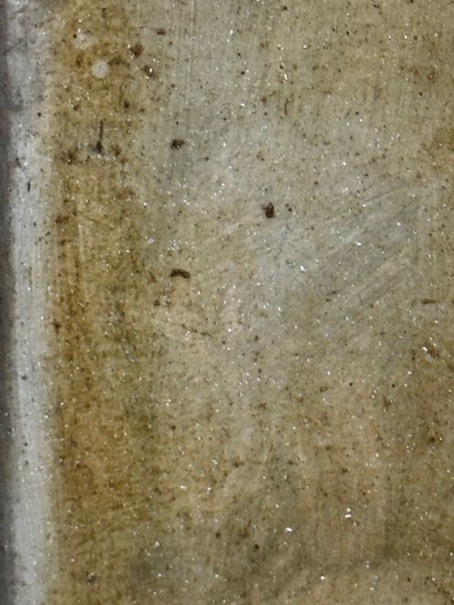 OIL PAINTING SAD WHITE ENGLISH TERRIER DOG FOLLOWER OF JOHN EMMS - ADDITIONAL PHOTO 25