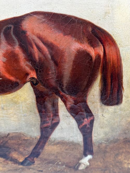C1842 OIL PAINTING CHESTNUT HORSE HUNTER BY CHARLES BILGER SPALDING RA - ADDITIONAL PHOTO 9