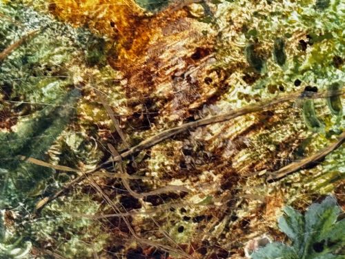 PAINTING BLOSSOM FLOWERS BIRD EGGS NEST MOSSY BANK OLIVER CLARE - ADDITIONAL PHOTO 13