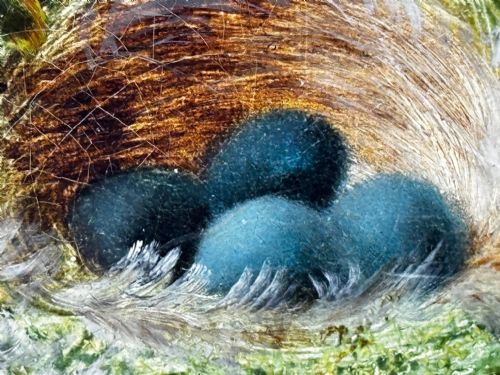 PAINTING BLOSSOM FLOWERS BIRD EGGS NEST MOSSY BANK OLIVER CLARE - ADDITIONAL PHOTO 17