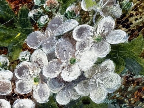 PAINTING BLOSSOM FLOWERS BIRD EGGS NEST MOSSY BANK OLIVER CLARE - ADDITIONAL PHOTO 20