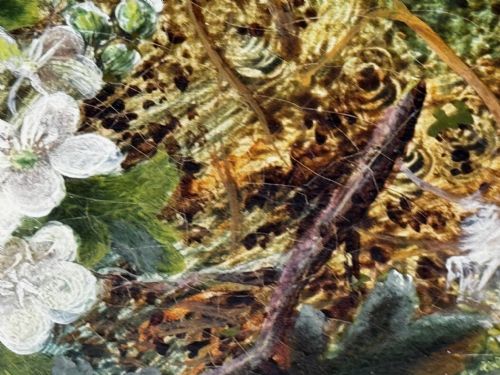PAINTING BLOSSOM FLOWERS BIRD EGGS NEST MOSSY BANK OLIVER CLARE - ADDITIONAL PHOTO 21