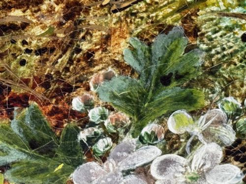 PAINTING BLOSSOM FLOWERS BIRD EGGS NEST MOSSY BANK OLIVER CLARE - ADDITIONAL PHOTO 22