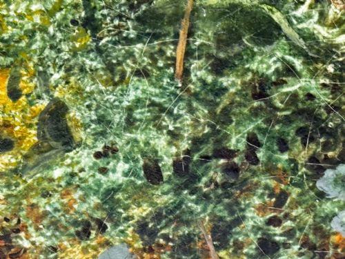 PAINTING BLOSSOM FLOWERS BIRD EGGS NEST MOSSY BANK OLIVER CLARE - ADDITIONAL PHOTO 23