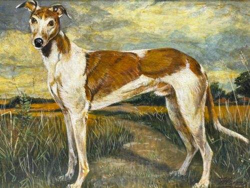 OIL PAINTING PRIZED LURCHER GREYHOUND AFTER SAMUEL JOHN CARTER - ADDITIONAL PHOTO 14