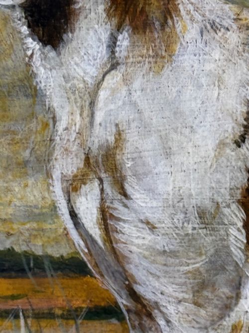 OIL PAINTING PRIZED LURCHER GREYHOUND AFTER SAMUEL JOHN CARTER - ADDITIONAL PHOTO 26