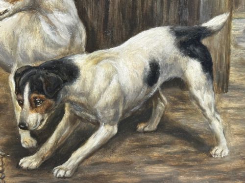 VICTORIAN PAINTING CAGED RAT TRAPPED JACK RUSSELL TERRIERS GUARDING - ADDITIONAL PHOTO 12