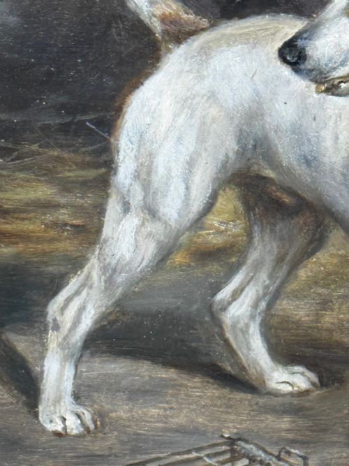 VICTORIAN PAINTING CAGED RAT TRAPPED JACK RUSSELL TERRIERS GUARDING - ADDITIONAL PHOTO 21