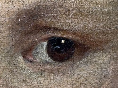 PAINTING AN ENDEARING BOND BOY WITH KING CHARLES SPANIEL PUPPY C1680 CIRCLE OF MARY BEALE - ADDITIONAL PHOTO 20