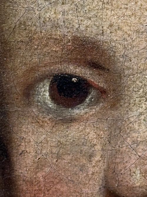 PAINTING AN ENDEARING BOND BOY WITH KING CHARLES SPANIEL PUPPY C1680 CIRCLE OF MARY BEALE - ADDITIONAL PHOTO 23