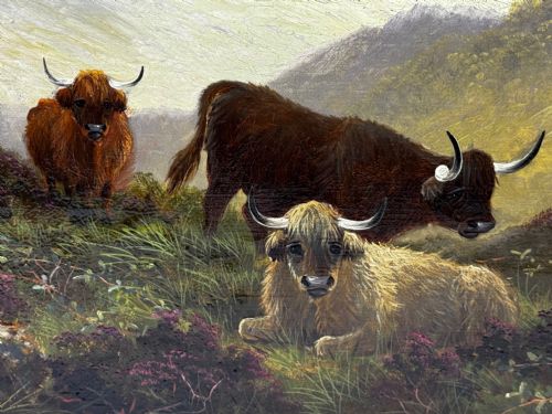 fig 7. A Victorian oil painting depicting three Highland cattle resting on a hillside in a misty Scottish mountain landscape, enclosed in a rectangular gilt frame.