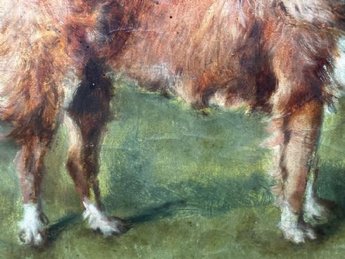 VICTORIAN EQUESTRIAN PORTRAIT YOUNG FRANCIS JAMES FRY ON PONY WITH DOG BY JOHN ALFRED WHEELER - ADDITIONAL PHOTO 19