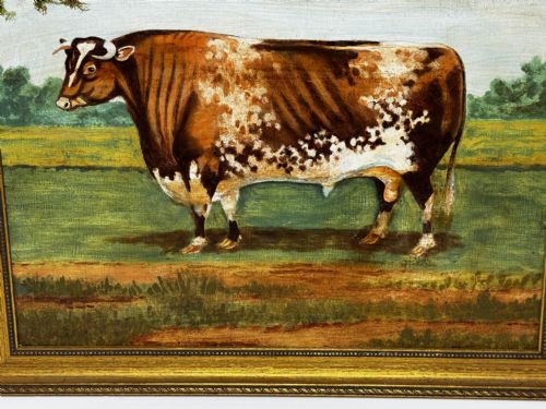 19TH CENTURY OIL PAINTING PRIZED SHORTHORN BULL - ADDITIONAL PHOTO 1