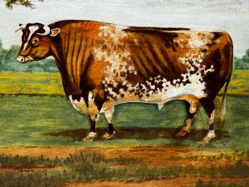 19TH CENTURY OIL PAINTING PRIZED SHORTHORN BULL - ADDITIONAL PHOTO 8