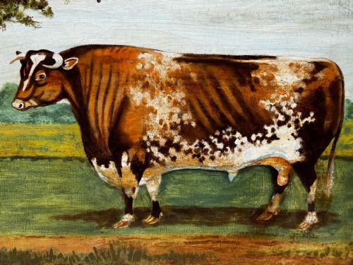 19TH CENTURY OIL PAINTING PRIZED SHORTHORN BULL - ADDITIONAL PHOTO 9