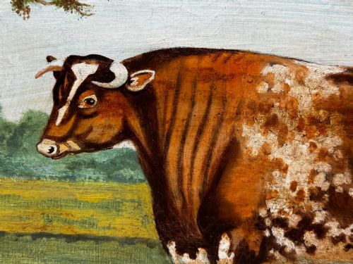 19TH CENTURY OIL PAINTING PRIZED SHORTHORN BULL - ADDITIONAL PHOTO 10