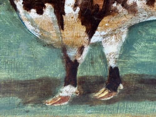 19TH CENTURY OIL PAINTING PRIZED SHORTHORN BULL - ADDITIONAL PHOTO 23
