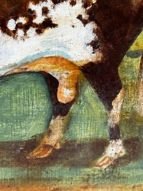 19TH CENTURY OIL PAINTING PRIZED SHORTHORN BULL - ADDITIONAL PHOTO 24