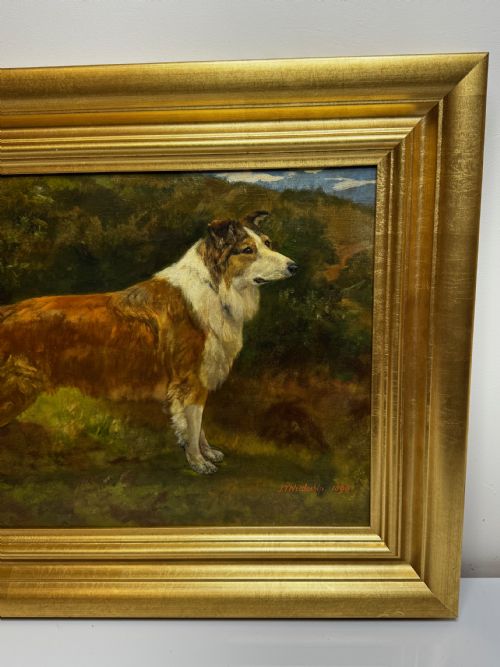 VICTORIAN OIL PORTRAIT OF A ROUGH COLLIE BY JOHN TRIVETT NETTLESHIP - ADDITIONAL PHOTO 1