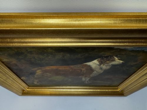 VICTORIAN OIL PORTRAIT OF A ROUGH COLLIE BY JOHN TRIVETT NETTLESHIP - ADDITIONAL PHOTO 3