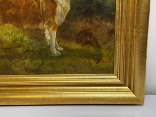 VICTORIAN OIL PORTRAIT OF A ROUGH COLLIE BY JOHN TRIVETT NETTLESHIP - ADDITIONAL PHOTO 4