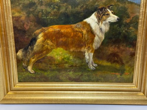 VICTORIAN OIL PORTRAIT OF A ROUGH COLLIE BY JOHN TRIVETT NETTLESHIP - ADDITIONAL PHOTO 5