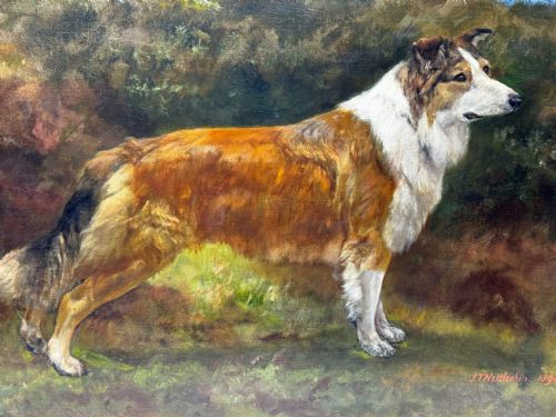 VICTORIAN OIL PORTRAIT OF A ROUGH COLLIE BY JOHN TRIVETT NETTLESHIP - ADDITIONAL PHOTO 7