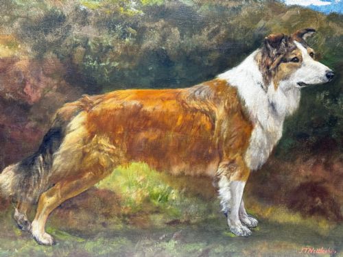 VICTORIAN OIL PORTRAIT OF A ROUGH COLLIE BY JOHN TRIVETT NETTLESHIP - ADDITIONAL PHOTO 8