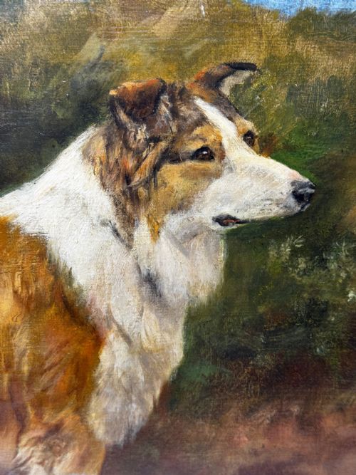 VICTORIAN OIL PORTRAIT OF A ROUGH COLLIE BY JOHN TRIVETT NETTLESHIP - ADDITIONAL PHOTO 14