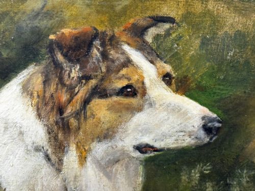 VICTORIAN OIL PORTRAIT OF A ROUGH COLLIE BY JOHN TRIVETT NETTLESHIP - ADDITIONAL PHOTO 15