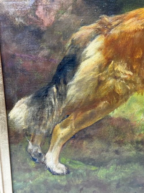 VICTORIAN OIL PORTRAIT OF A ROUGH COLLIE BY JOHN TRIVETT NETTLESHIP - ADDITIONAL PHOTO 20