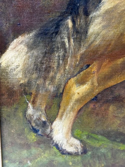 VICTORIAN OIL PORTRAIT OF A ROUGH COLLIE BY JOHN TRIVETT NETTLESHIP - ADDITIONAL PHOTO 21