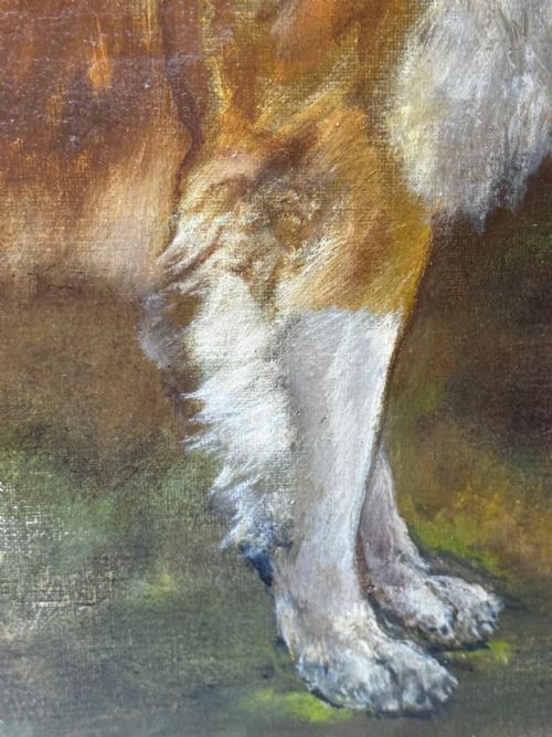 VICTORIAN OIL PORTRAIT OF A ROUGH COLLIE BY JOHN TRIVETT NETTLESHIP - ADDITIONAL PHOTO 24