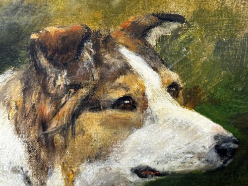 VICTORIAN OIL PORTRAIT OF A ROUGH COLLIE BY JOHN TRIVETT NETTLESHIP - ADDITIONAL PHOTO 29