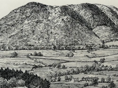 LOW FELL FROM LANTHWAITE HILL ORIGINAL PENANDINK LANDSCAPE DRAWING - ADDITIONAL PHOTO 3