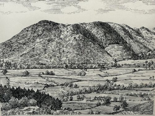 LOW FELL FROM LANTHWAITE HILL ORIGINAL PENANDINK LANDSCAPE DRAWING - ADDITIONAL PHOTO 5