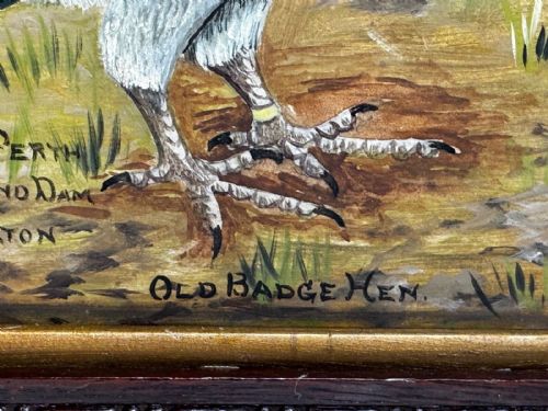 fig 1. An early 20th-century oil painting on board depicting two racing pigeons outdoors, housed in a dark carved wooden frame with hand-painted text detailing race victories.