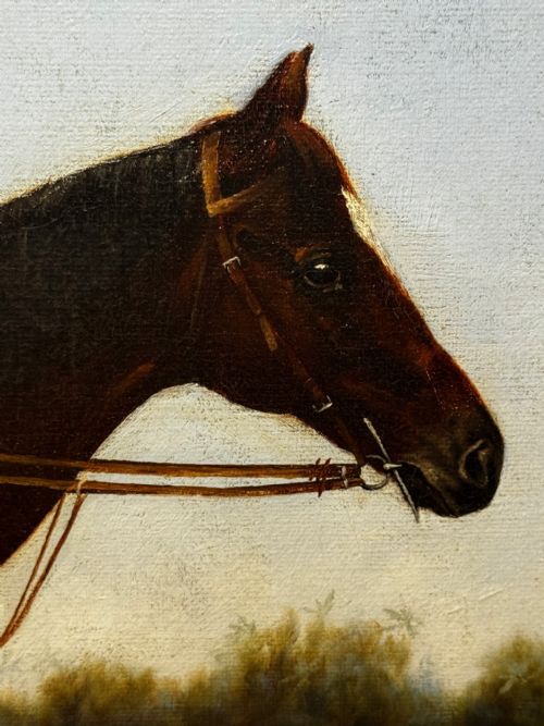 VICTORIAN RACING OIL PORTRAIT MASTER WALTER GOVERNORS CUP COLOMBO RACES C1894 OWNER HORACE DEANEDRUMMOND - ADDITIONAL PHOTO 17