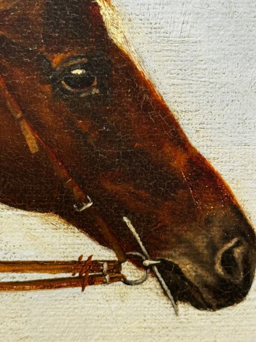 VICTORIAN RACING OIL PORTRAIT MASTER WALTER GOVERNORS CUP COLOMBO RACES C1894 OWNER HORACE DEANEDRUMMOND - ADDITIONAL PHOTO 21