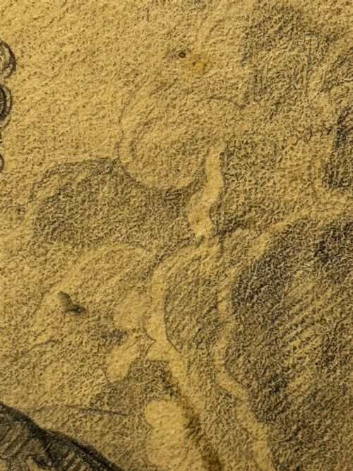 ANTIQUE OLD MASTER DRAWING JOHN VIII COUNT OF NASSAU AFTER VAN DYCK - ADDITIONAL PHOTO 16