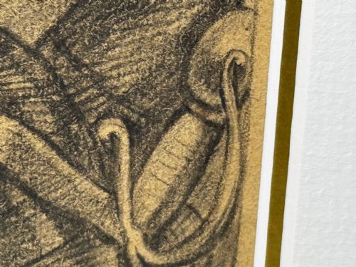 ANTIQUE OLD MASTER DRAWING JOHN VIII COUNT OF NASSAU AFTER VAN DYCK - ADDITIONAL PHOTO 23