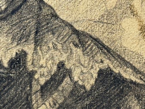 ANTIQUE OLD MASTER DRAWING JOHN VIII COUNT OF NASSAU AFTER VAN DYCK - ADDITIONAL PHOTO 25