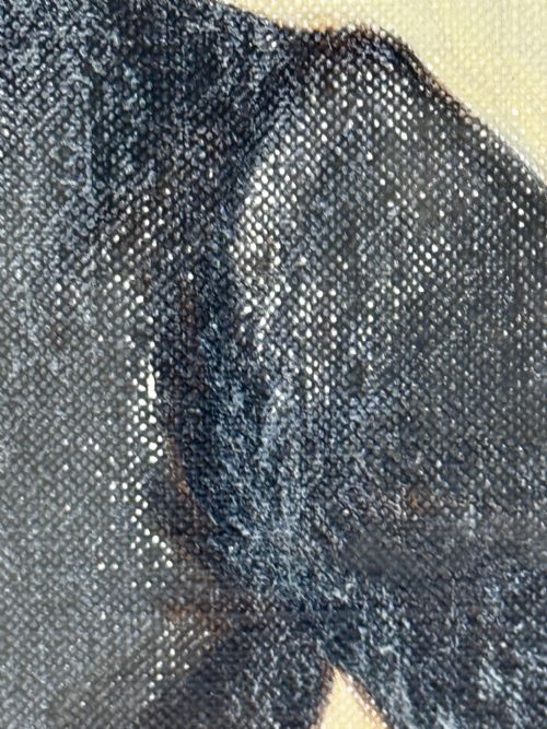 THOMAS STONEWALL JACKSON CONFEDERATE GENERAL CIVIL WAR GENERAL OIL PORTRAIT - ADDITIONAL PHOTO 18