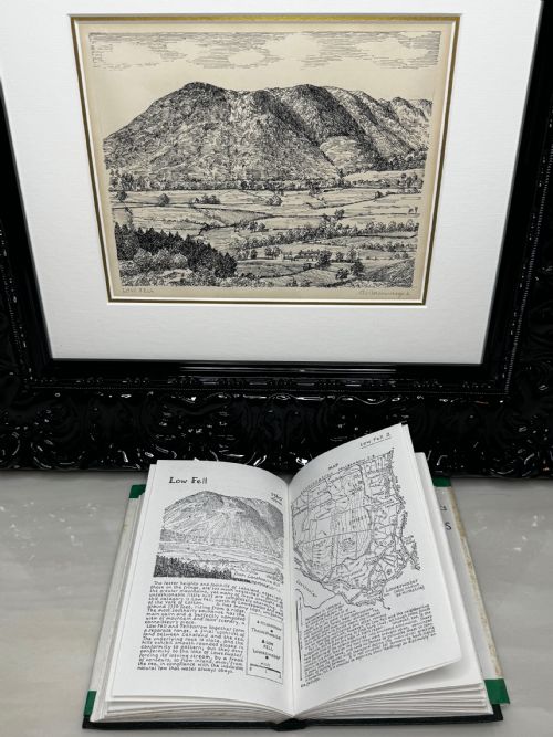 LOW FELL FROM LANTHWAITE HILL ORIGINAL PENANDINK LANDSCAPE DRAWING - ADDITIONAL PHOTO 18