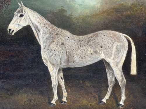 CHESHIRE SPORTING OIL PAINTING GREY MARE HORSE GRISETTE AT NANTWICH - ADDITIONAL PHOTO 1