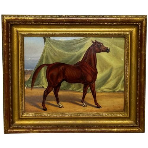 OIL PAINTING PUREBRED ARABIAN HORSE BOMBAY STABLES INDIA